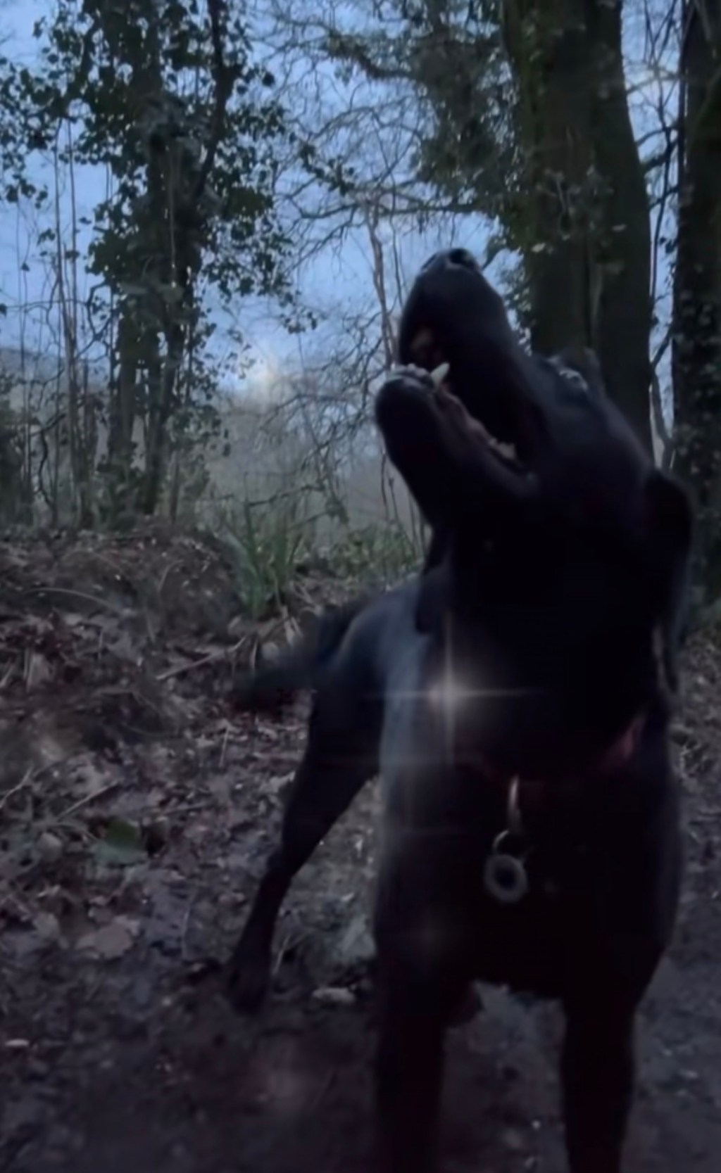 January Exercise Review